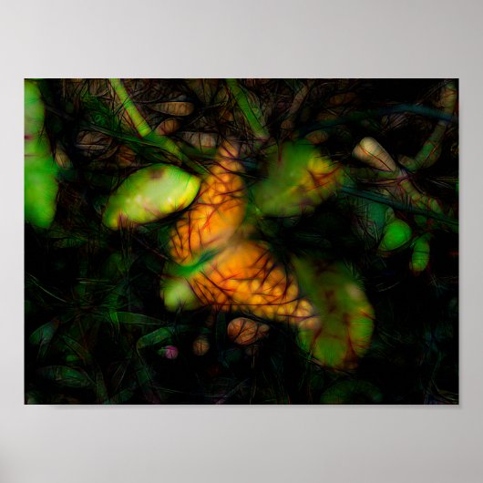 Butterfly in Radiance en Ggloed Edges Poster (Voorkant)