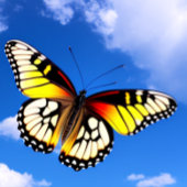 Butterfly in Sky T-Shirt