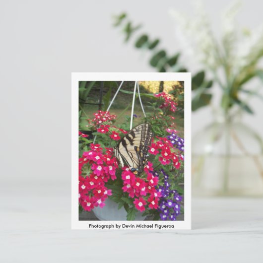 Butterfly in Springtime Briefkaart (Staand voorkant)