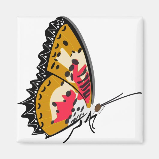 Butterfly Insect Animal Magneet (Voorkant)