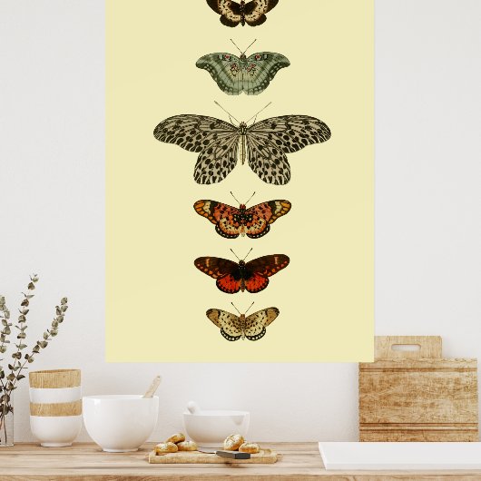 Butterfly Insects Collectie Poster (Keuken)