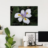 Butterfly Iris Poster (Thuiskantoor)