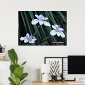 Butterfly Iris Trio Poster (Thuiskantoor)