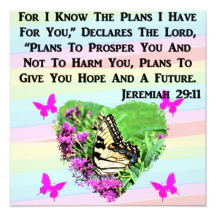 BUTTERFLY JEREMIAH 29:11 FOTO AFDRUK