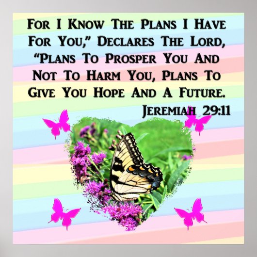  BUTTERFLY JEREMIAH 29:11 POSTER (Voorkant)
