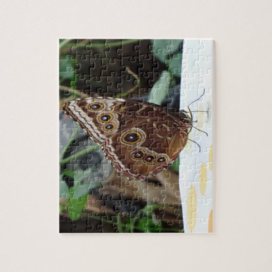 Butterfly Jigzaag Puzzle Legpuzzel (Verticaal)
