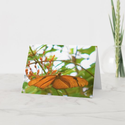 Butterfly Kaart (Voorkant)