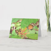 Butterfly Kaart (Voorkant)