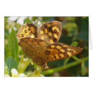 Butterfly-kaart
