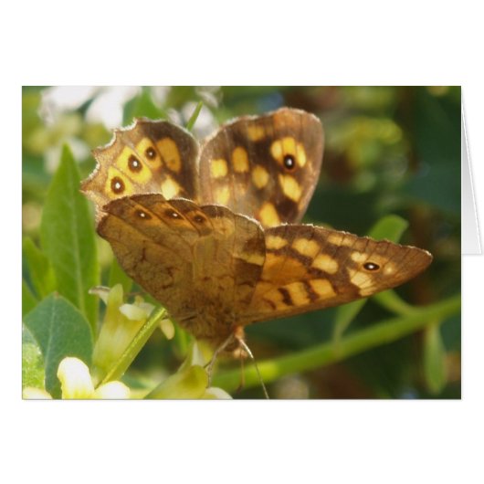 Butterfly-kaart (Voorkant Horizontaal)