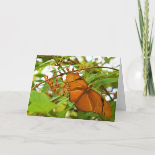Butterfly Kaart (Voorkant)