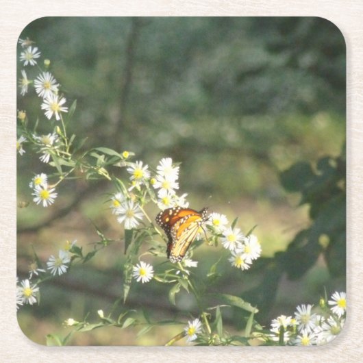 Butterfly Kartonnen Onderzetters (Voorkant)