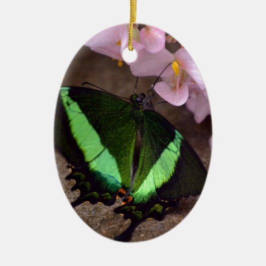 Butterfly Keramisch Ornament (Voorkant)