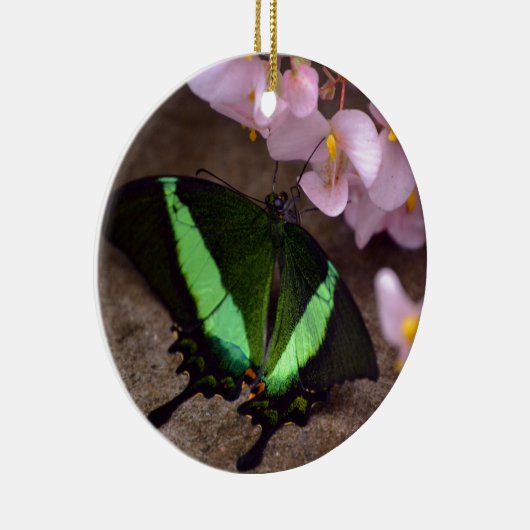 Butterfly Keramisch Ornament (Rechts)