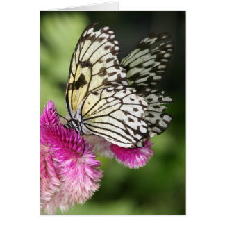 Butterfly Kisses I