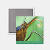 Butterfly Kisses Magneet (Voorkant / Achterkant)