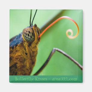 Butterfly Kisses Magneet
