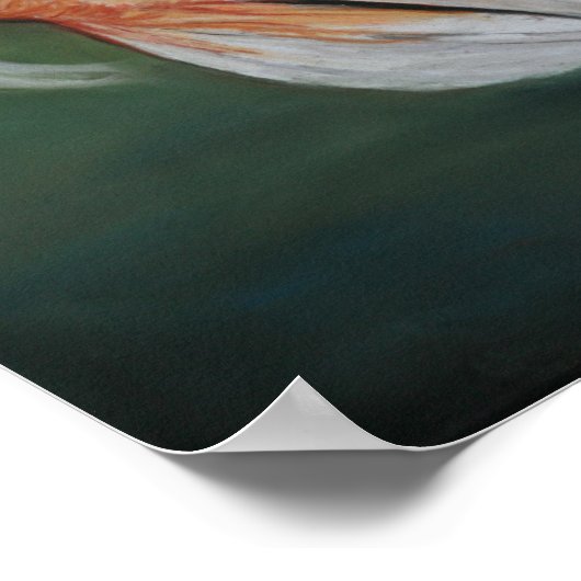 Butterfly Koi Fish Poster (Hoek)