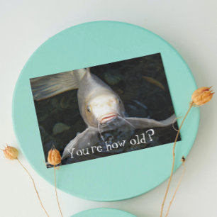 Butterfly Koi Foto Funny Birthday Kaart