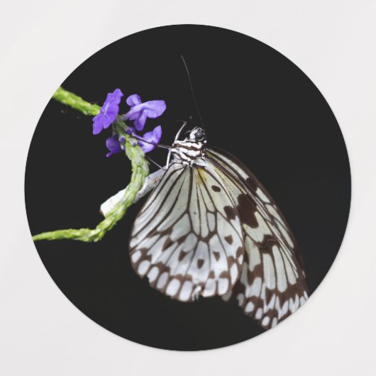 Butterfly Labels (Design 1)