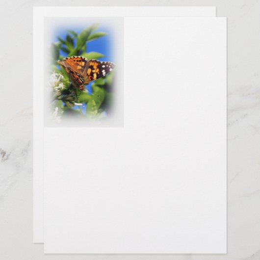 Butterfly Letterhead Briefhoofd Ontwerp (Voorkant / Achterkant)