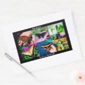 Butterfly Life  Rechthoekige Sticker (Envelop)