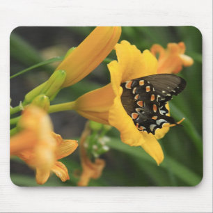 Butterfly Lily Muismat