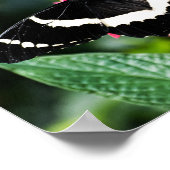 Butterfly Lolipop Afdrukken Poster (Hoek)