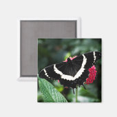 Butterfly Lolipop Magnet (Voorkant / Achterkant)