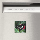 Butterfly Lolipop Magnet (Insitu (Vaatwasser))