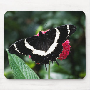 Butterfly Lolipop Mousepad Muismat