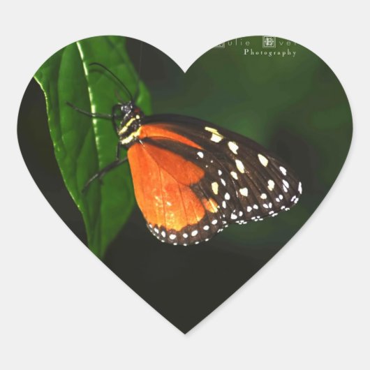 Butterfly Love Stickers (Voorkant)