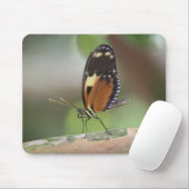 Butterfly Macro Muismat (Met muis)