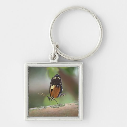 Butterfly Macro Sleutelhanger (Voorkant)