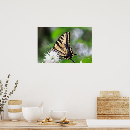 Butterfly Magic Wall Art Poster (Keuken)