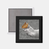 Butterfly Magneet (Voorkant / Achterkant)