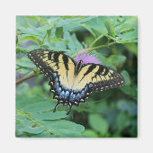 Butterfly Magneet (Voorkant)