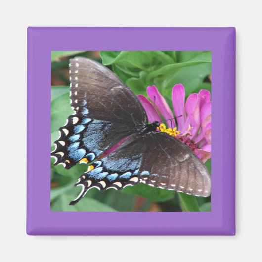 Butterfly Magneet (Voorkant)