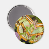 Butterfly Magneet (Voorkant / Achterkant)