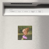 Butterfly Magneet (Insitu (Vaatwasser))