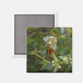 Butterfly Magneet (Voorkant / Achterkant)