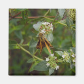 Butterfly Magneet (Voorkant)