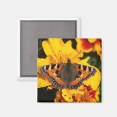 Butterfly Magnet (Voorkant / Achterkant)