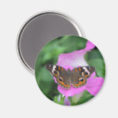 Butterfly Magnet (Voorkant / Achterkant)