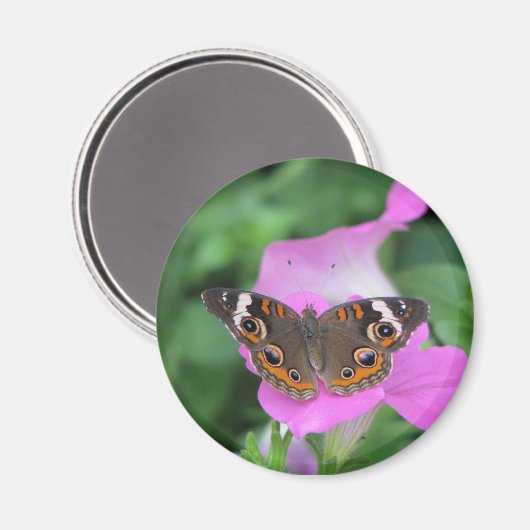 Butterfly Magnet (Voorkant / Achterkant)