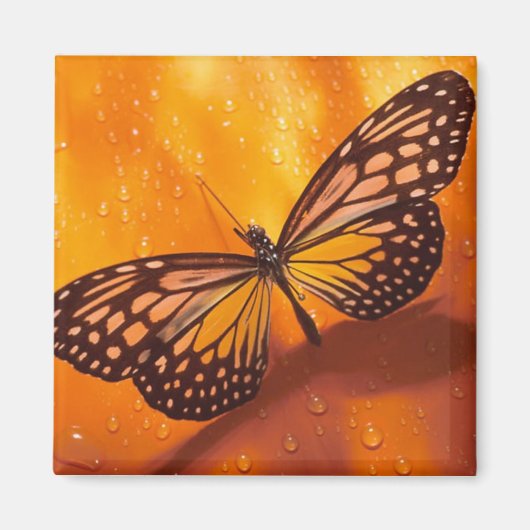 Butterfly Magnet (Voorkant)