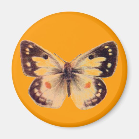 Butterfly Magnet (Voorkant)