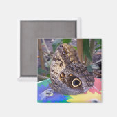 Butterfly Magnet (Voorkant / Achterkant)
