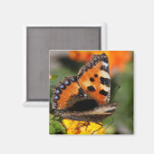 Butterfly Magnet (Voorkant / Achterkant)