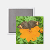 Butterfly Magnet (Voorkant / Achterkant)